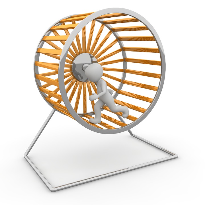hamster-wheel-1014047_960_720